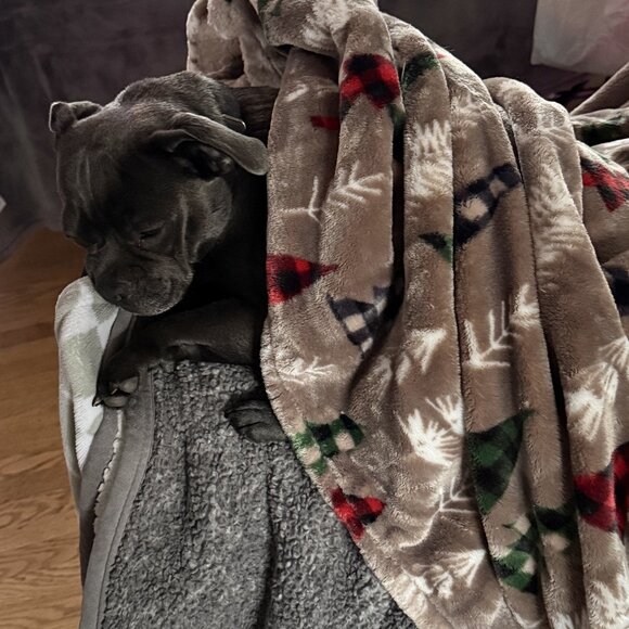 Don't Sleep On These Amazing Deals - Picture 4 of 7